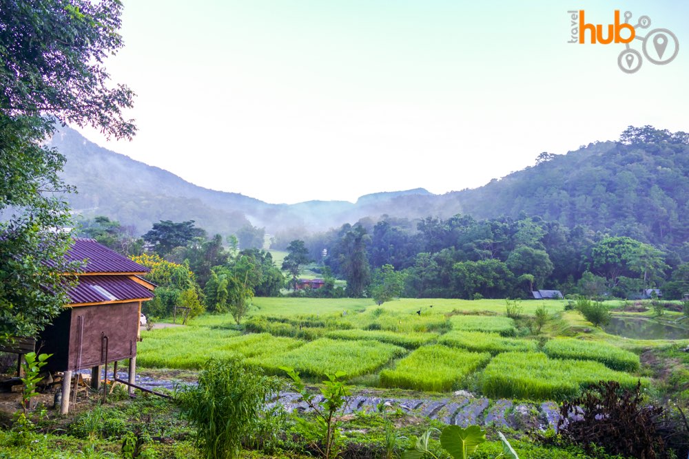 Views over thr rice paddies Mae Klang Luang village Doi Inthanon