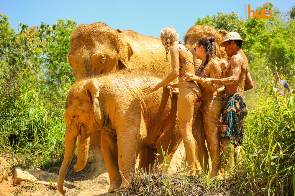 You will have plenty of opportunity to get up close to these lovely animals