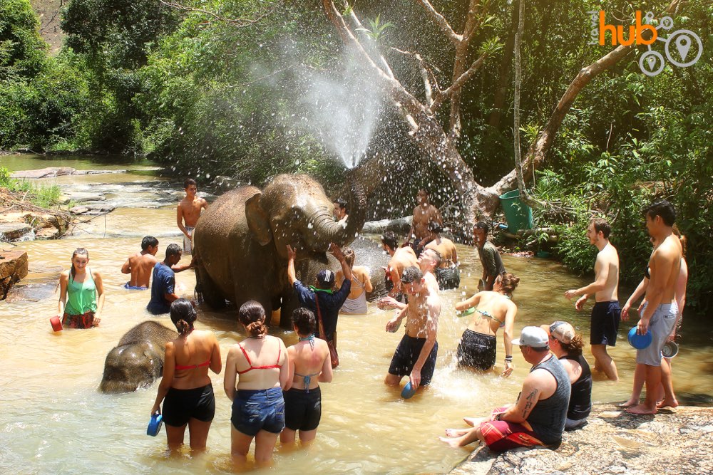 Bath time. One of the elephants favourite activities