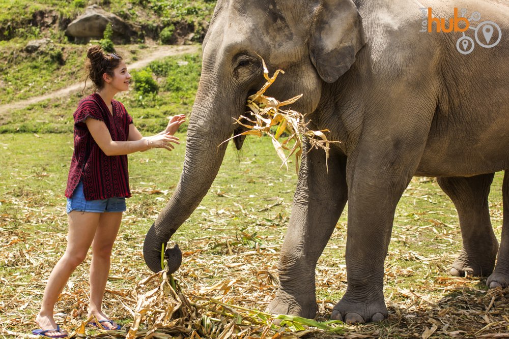 There are no fences here to kepp you and the elephants apart