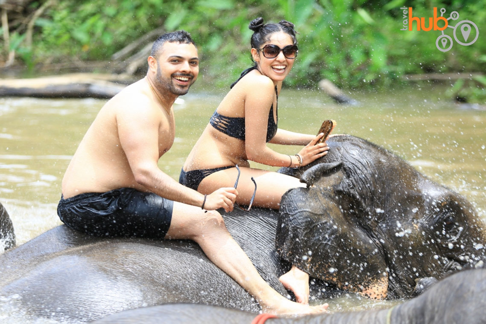 Bath time is a highlight for both the elephant and visitor alike!