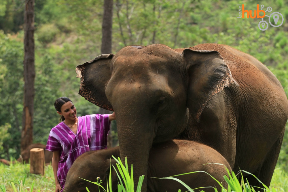 Book early as Patara Elephant Farm is a very popular elephant camp in Chiang Mai