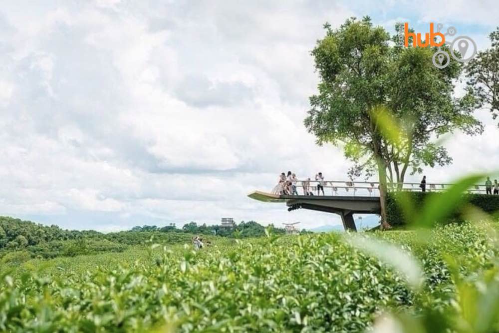 The idyllic Singha Park 