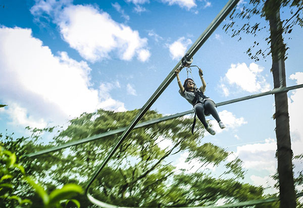 Jungle Flight zip line