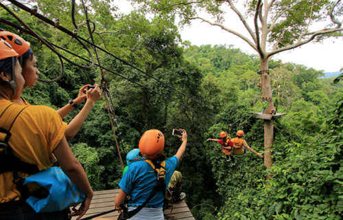 Flight of the Gibbon