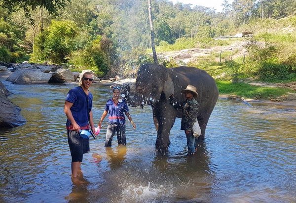 Elephant care with trekking