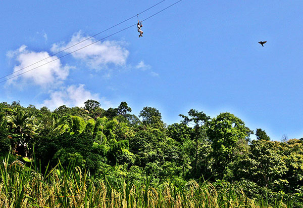 Eagle Track zip line