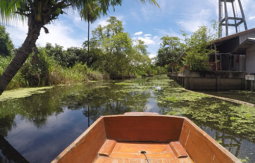 bangkok local tour operators