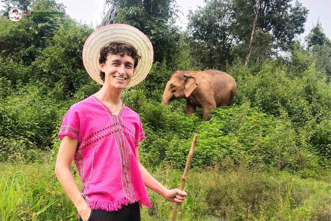 elephant with client in Karen clothing&nbsp;
