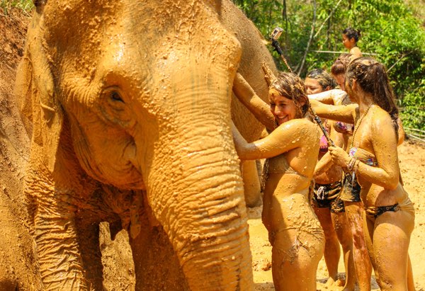 Elephant Jungle Sanctuary full day programme