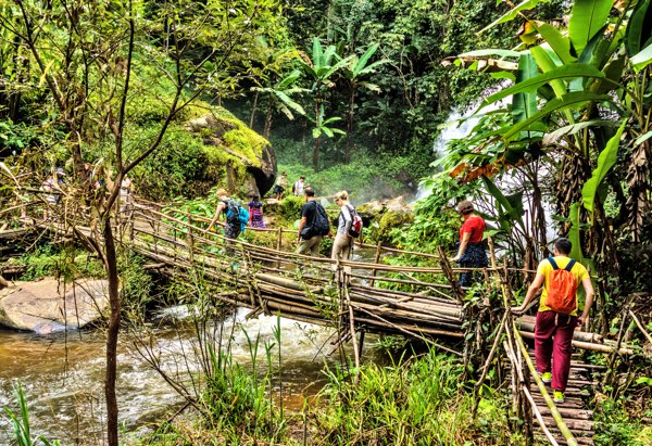 One day Chiang Mai jungle trekking