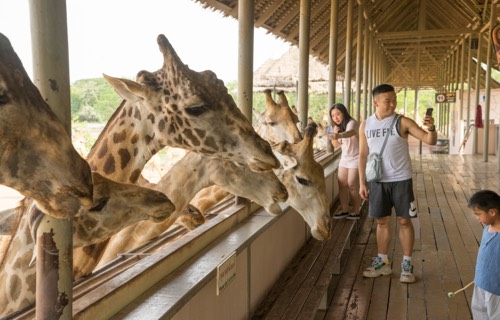 Bangkok Safari World & Marine Park