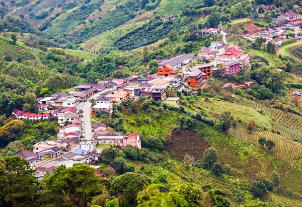 Doi Mae Salong tour